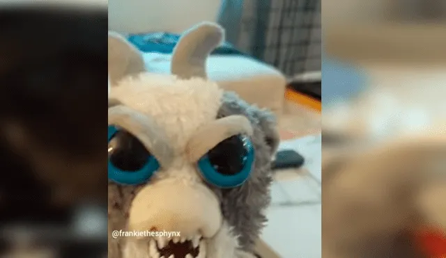 En Facebook, un chico utilizó un terrorífico muñeco para asustar a su perro sin imaginar su reacción.