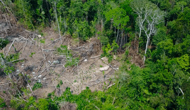 YouTube: increíbles imágenes captadas por un dron de una tribu aislada en Brasil [VIDEO]