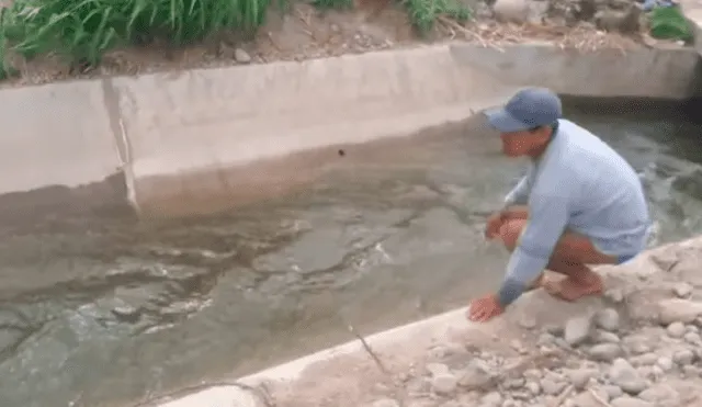 Facebook viral: perro de la calle es arrojado a acequia y valeroso peruano le salva la vida [VIDEO]