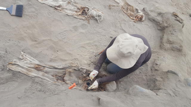 Trujillo: nuevo hallazgo de restos de niños sacrificados de cultura Chimú