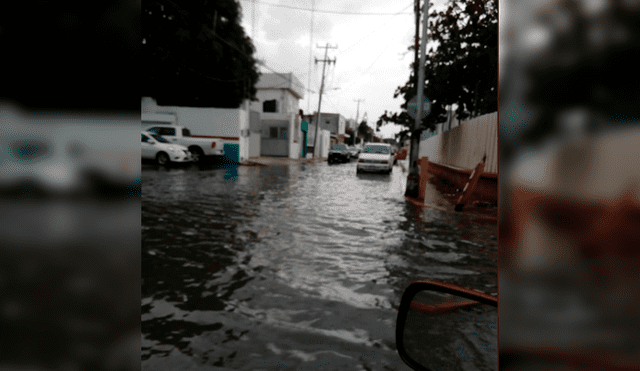 Bajas temperaturas son provocadas por fenómeno meteorológico. (FOTOS: Twitter)