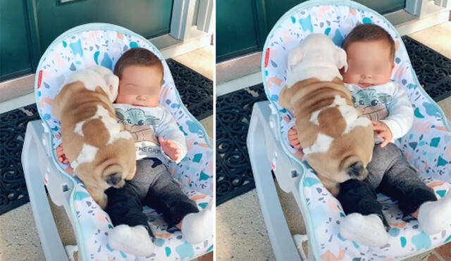 Desliza hacia la izquierda para ver más imágenes de este conmovedor encuentro entre un perro y el bebé de su dueña. Foto: captura de YouTube