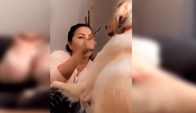 La mujer protagonizó una divertida ‘pelea’ con su perro, luego de que este le respondiera de una peculiar forma cuando lo estaba regañando. La escena se ha hecho viral en Facebook