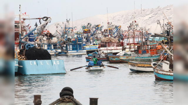 Pescadores artesanales no pudieron laborar durante el estado de emergencia por la COVID-19.