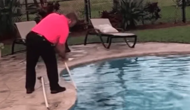 Youtube viral: Familia elimina extraña criatura que apareció en su piscina [VIDEO]