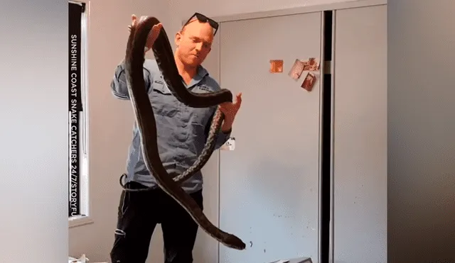 Escucha perturbador ruido en armario, lo abre y saca enorme reptil que lo ataca [VIDEO] 