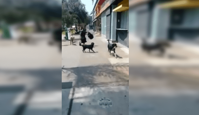 Facebook: graban a perro robándose gaseosa de hombre y huyendo a toda velocidad [VIDEO]