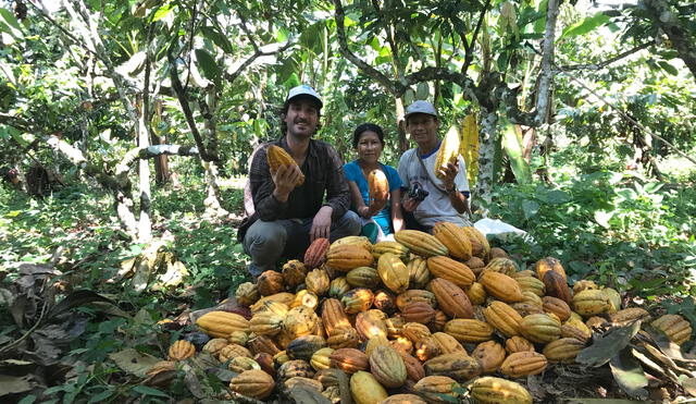 productores de cacao
