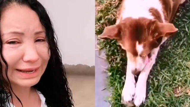 Janet Barboza descubre al asesino de su perro