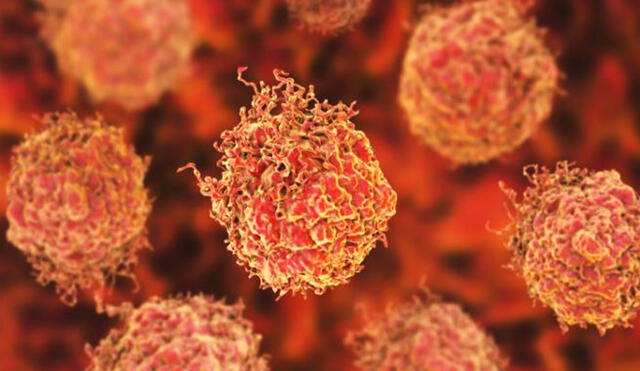 La nanotecnología podría marcar el futuro de la lucha contra el cáncer | Foto: Imperial College London - Archivo
