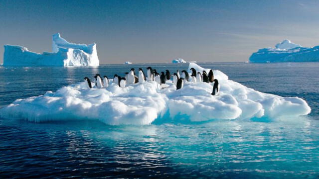 Pingüinos Adelia sobre un casquete de la Antártida. Foto: AFP.
