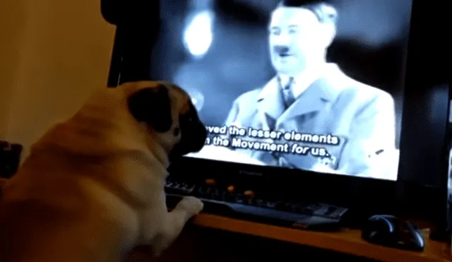 Vía YouTube: Hizo que su perro haga 'saludo nazi' y podría irse preso [VIDEO]