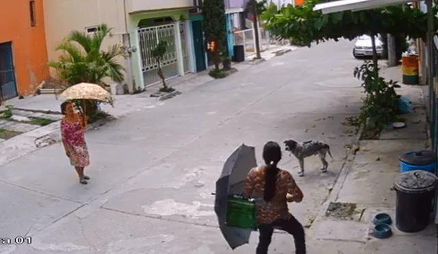 Mujer es captada robando agua, comida y platos a perros callejeros [VIDEO]