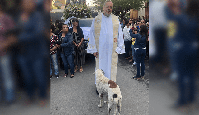 Brasil: Sacerdote realiza misa acompañados de perros para una noble misión [FOTOS]