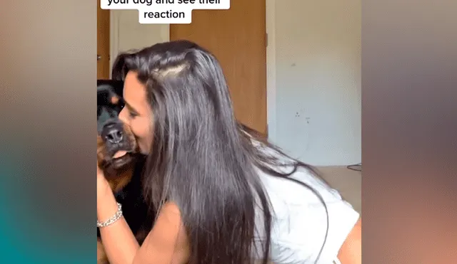 Desliza las imágenes para ver la curiosa reacción de este perro rottweiler al ver que su dueña dejó de acariciarlo. Fotocapturas: @nala_the_needy_rottie/Instagram