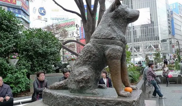 Twitter: #HachikoDay mascota es recordada al cumplirse 82 años de su muerte  