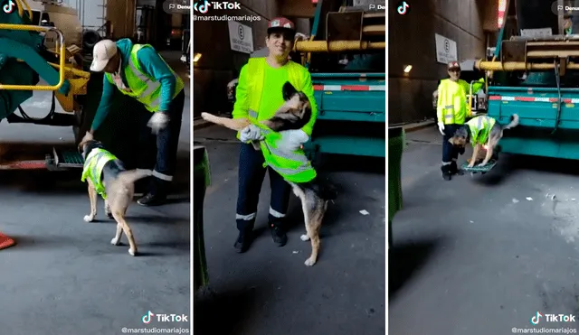 Las imágenes de Basureke se han ganado los corazones de más de un millón de cibernautas. Foto: composición de LR/ captura de TikTok/@Marstudiomariajos