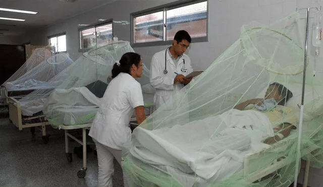 Venezuela: confirman cerca de 175 mil casos de malaria 