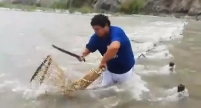 Inspectores destruyen trampas para pescar camarón en Arequipa [VIDEO]