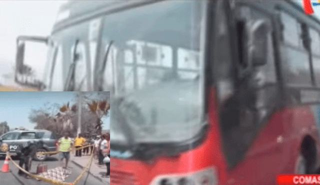 Comas: bus de la empresa “El Rápido” atropella y mata a hombre de 78 años [VIDEO]