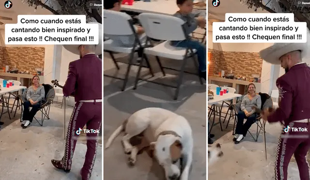 El susto que le dio el perro al cantante sacó miles de sonrisas en redes. Foto: composición de LR/TikTok/@Joseluisosama