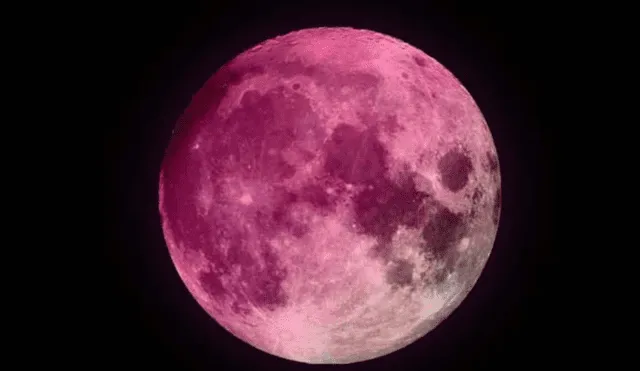 La aparición de la Luna Rosa coincide con el brote de musgo o flores rosas.