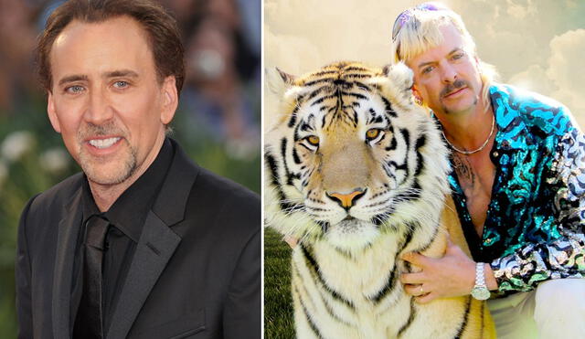 Serie de Tiger king estaría protagonizada por Nicolas Cage. Créditos: composición