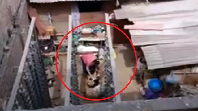 Mujer golpea cruelmente con un palo a mascota en San Juan de Miraflores [VIDEO]