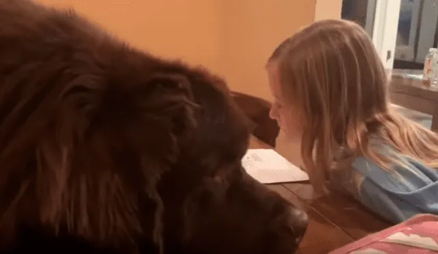 Es viral en Facebook. La peculiar conducta del can sorprendió a la mamá de la niña. Quien no dudó en grabarla para compartirla en redes