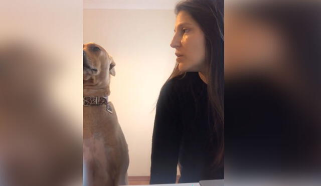 Desliza hacia la izquierda para ver más imágenes de esta peculiar 'conversación' entre una joven y su perro. Foto: captura de TikTok