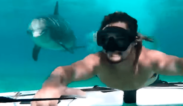 Facebook viral: delfín nada junto a muchachos que practicaban deporte acuático en isla del Caribe [VIDEO]