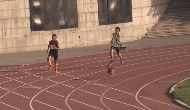Facebook viral: perro ingresa a competencia de atletismos y humilla a todos los corredores [VIDEO]