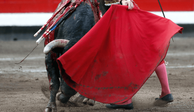 Colombia: corridas de toros vuelven a ser legales en el país