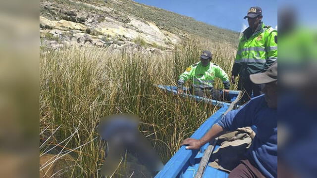 Puno: encuentran cuerpo de varón flotando en el lago Titicaca