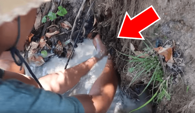 YouTube viral: 'Misteriosas criaturas' emergen de hoyo que descubrió joven [VIDEO]