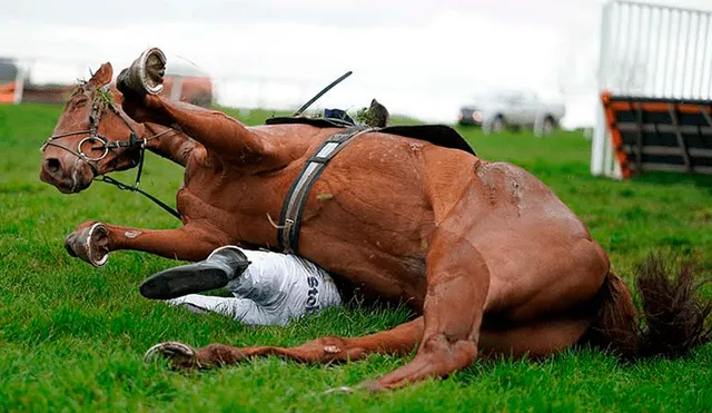 Facebook: caballo de carreras aplasta a jinete en el último obstáculo de competencia [FOTOS]