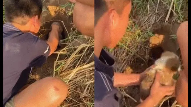 Adolescentes rescatan a cachorro enterrado a un metro de profundidad [VIDEO]