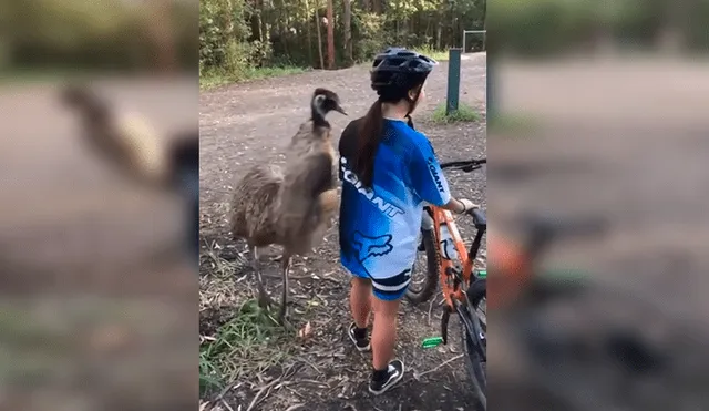 En Facebook, una chica acudió a una localidad en Australia, sin imaginar que se toparía con un gigantesco emú.