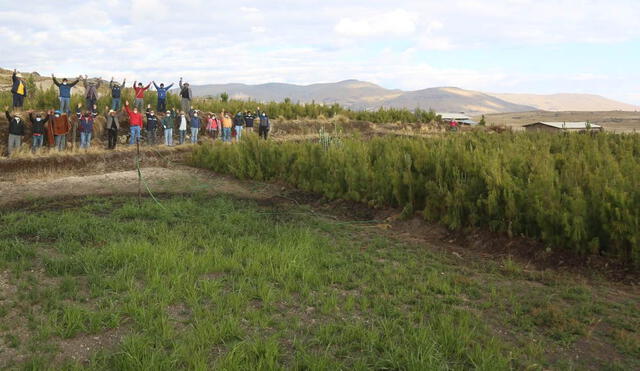 Proyecto en sierra de La Libertad va generar más de 32 mil jornales de trabajo. Foto Gore