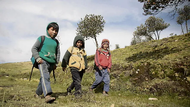 Niños con desnutrición y anemia tienen dificultades para el aprendizaje