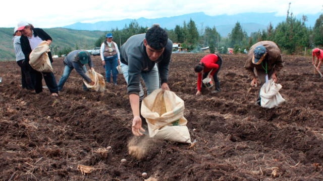 Arequipa: Agricultores evalúan ir al Poder Judicial para anular permiso de Tía María