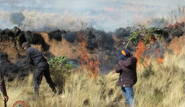 Cuarto incendio forestal ocurrido en el mes causa zozobra en Cusco
