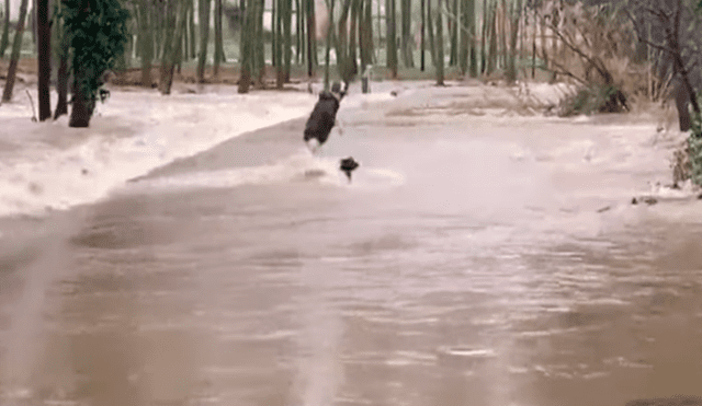 Indignación por imágenes de hombre lanzando a un perro al caudaloso río Ter [VIDEO]