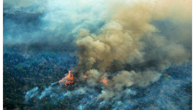 Incendio forestal - consecuencias