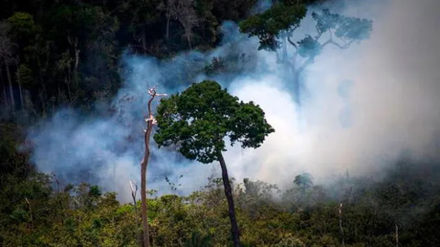 Los estragos que ha dejado el incendio en la Amazonía preocuparon al presidente de Colombia. Foto: AFP / R. Alves