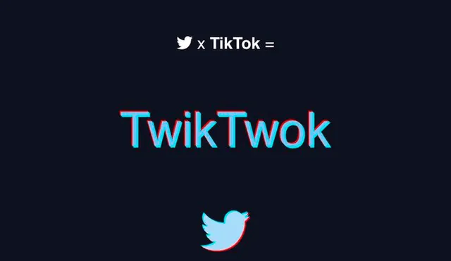TwikTwok no es la unión oficial de Twitter y TikTok, pero sí mezcla las funciones de ambas plataformas. Foto: TwikTwok.