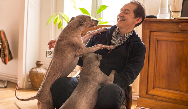 Se estrena película inspirada en el perro sin pelo peruano