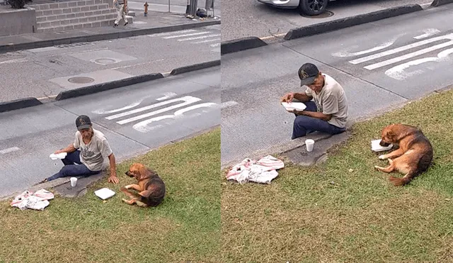 Facebook: vagabundo comparte su comida con perro callejero y conmueve a miles [VIDEO]