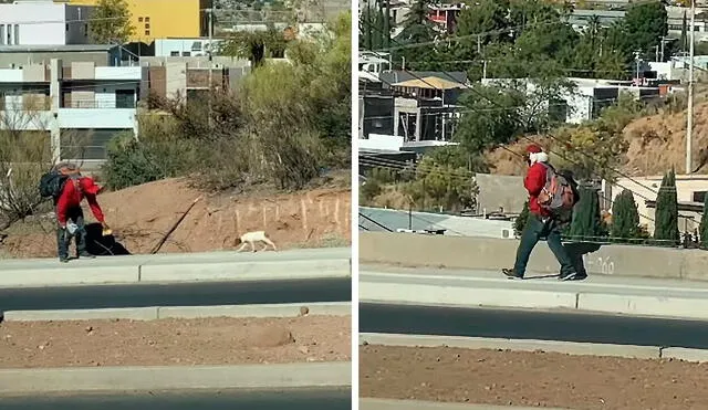 Desliza las imágenes para ver la curiosa acción de un pequeño perro para que su dueño lo cargue en vez de caminar. Foto: captura de YouTube