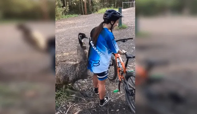 En Facebook, una chica acudió a una localidad en Australia, sin imaginar que se toparía con un gigantesco emú.